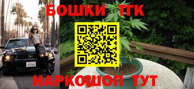 мдпв Жуковский