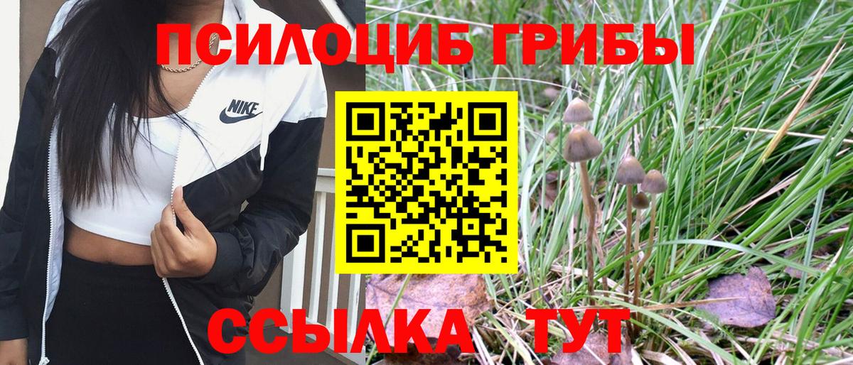 Галлюциногенные грибы мухоморы Михайловка